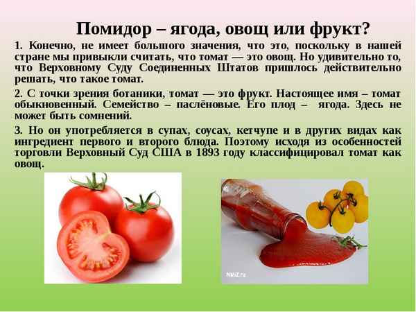 Помидор это ягода или овощ
