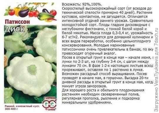 В чём разница между кабачком и патиссоном?