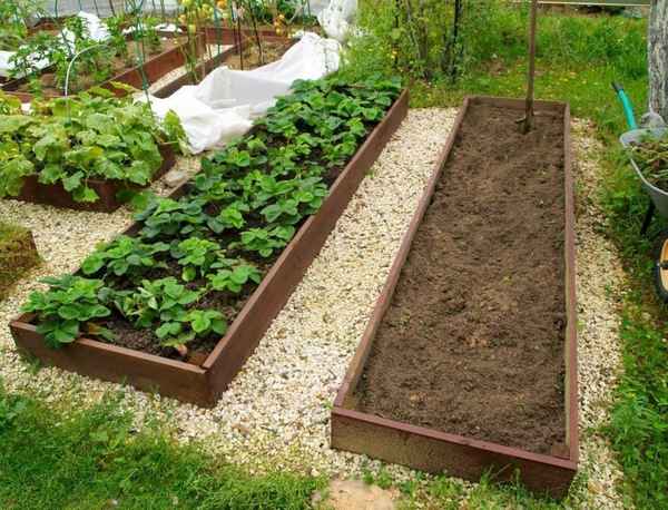 Как сделать грядку для клубники