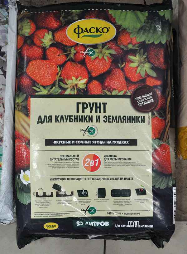 Почва для клубники в домашних условиях