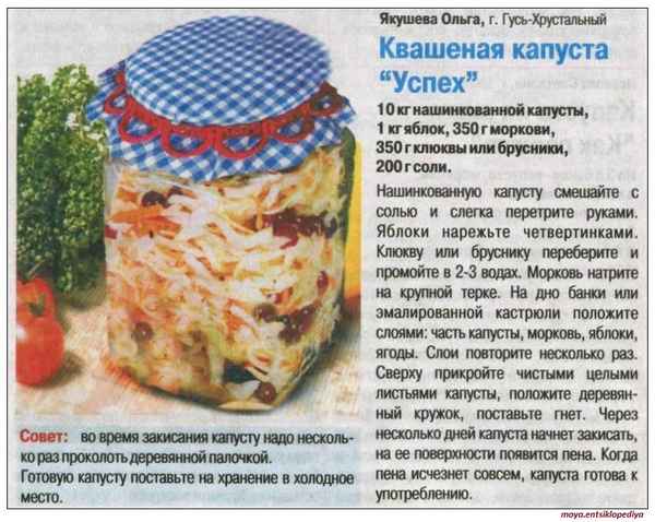 Сколько нужно соли для закваски капусты?