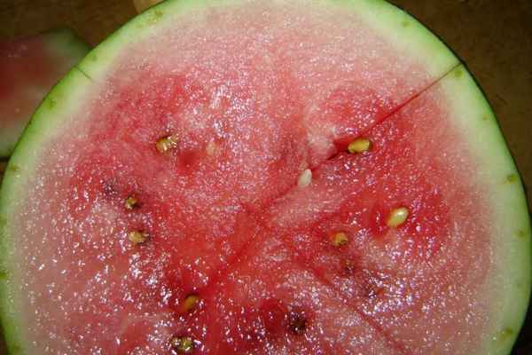 Что означают желтые или белые прожилки в арбузе?