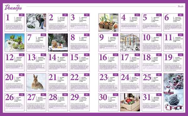 Лунный календарь садовода-огородника на декабрь 2020