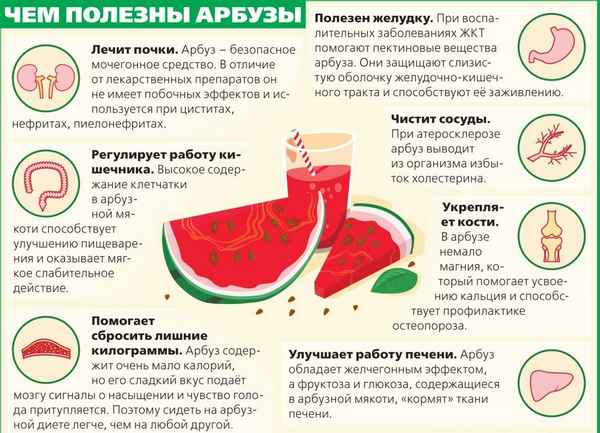 Как влияет арбуз на кишечник