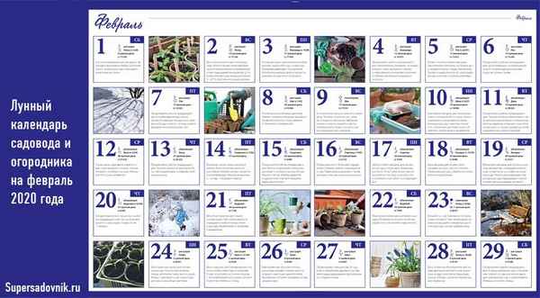 Лунный календарь огородника на февраль 2020 года