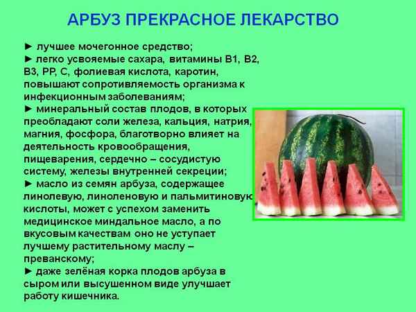Особенности употрeбления арбуза как мочегонного средства