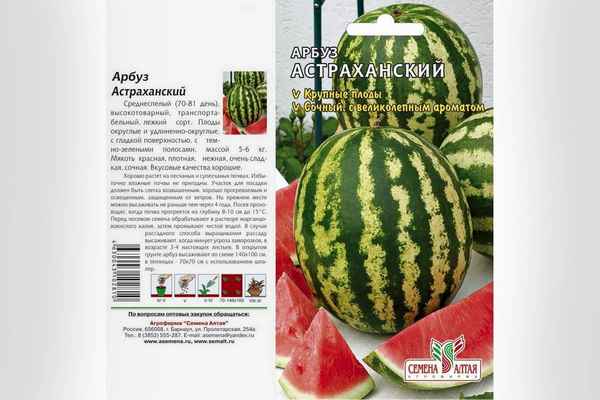 Описание и хаpaктеристика сорта арбуза Астpaxaнский