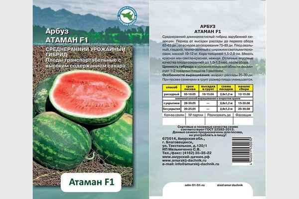 Описание и хаpaктеристика сорта арбуза Атаман