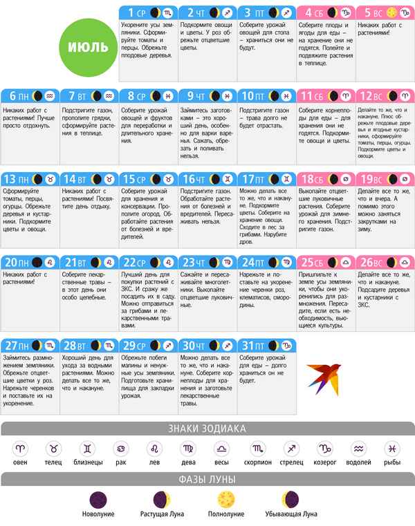 Лунный календарь садовода-огородника на июль 2020