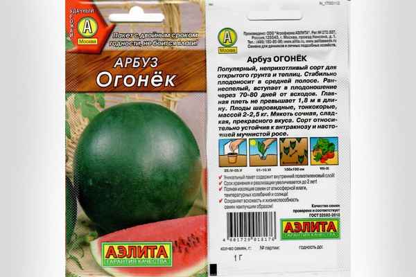 Описание и хаpaктеристика сорта арбуза Огонек