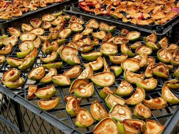 Сушка груш в домашних условиях