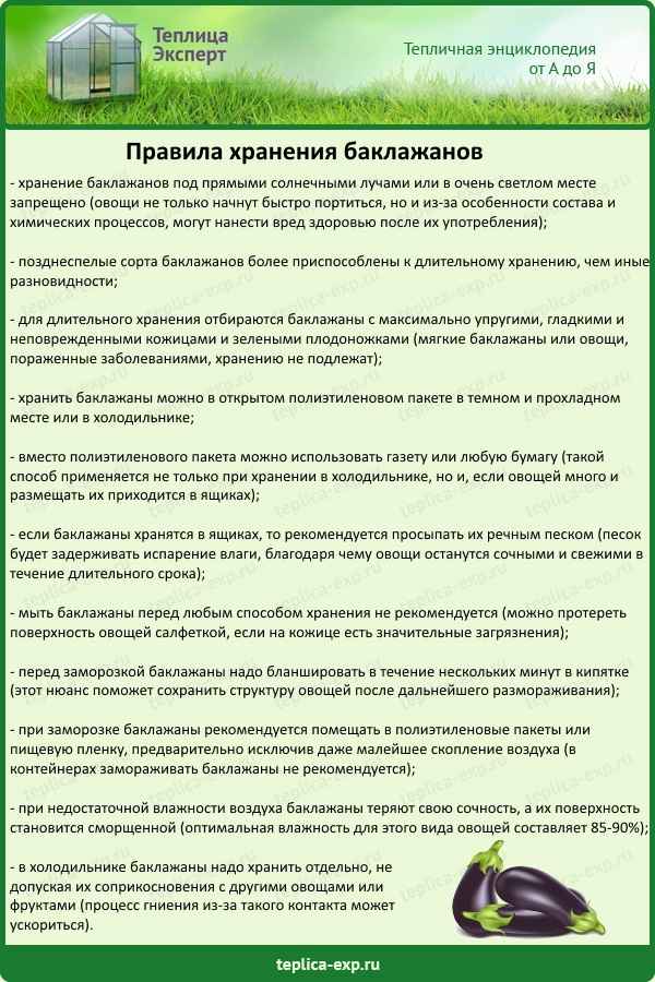 Правила хранения баклажанов