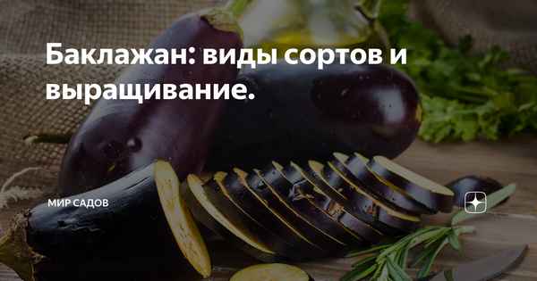 Баклажаны при сахарном диабете: можно или нет