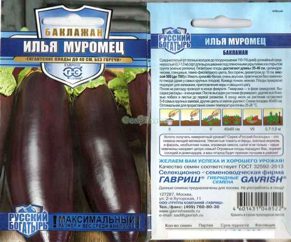 Баклажан Илья Муромец: описание сорта