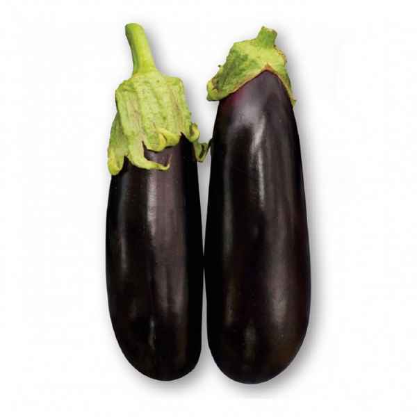 Баклажан Чёрный опал: описание и выращивание