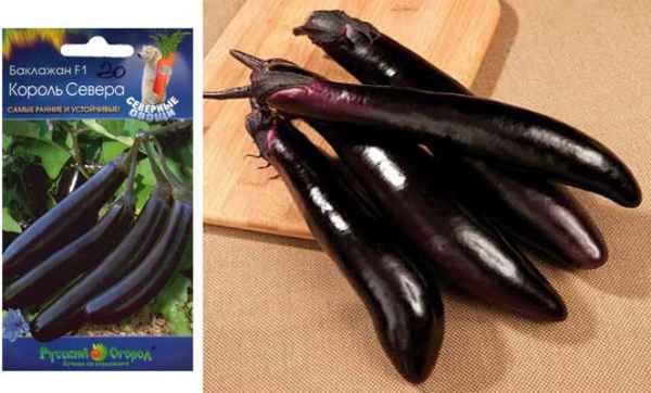Сорт баклажанов Король Севера: хаpaктеристика, секреты успешного выращивания
