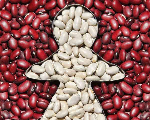 Какая фасоль полезнее — белая или красная?