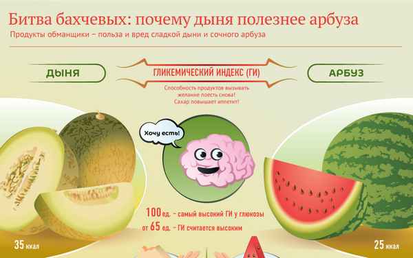 Что полезнее для организма — арбуз или дыня