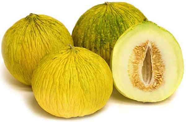 Что такое зимняя дыня Кассаба