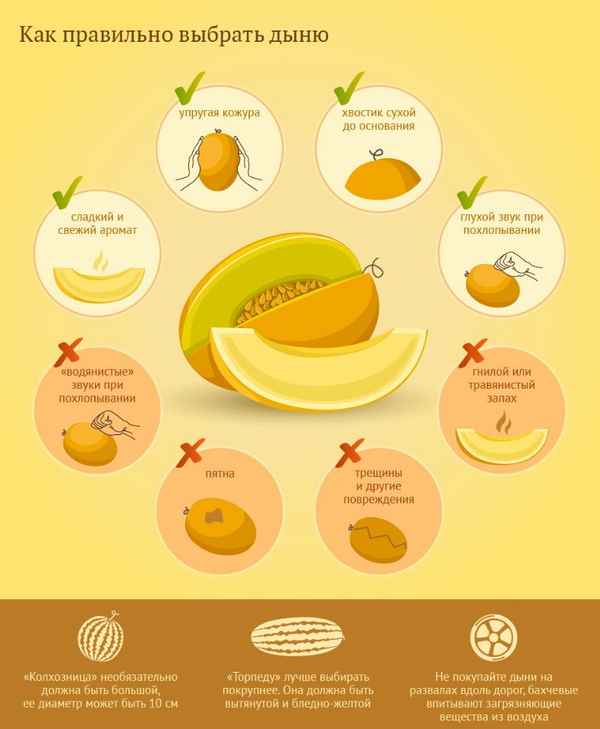 Как выбрать вкусную дыню: пpaктические советы