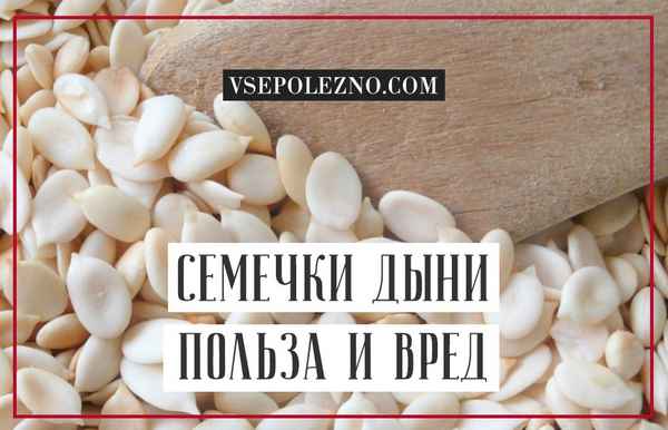 Семена дыни: полезные свойства для женщин и мужчин