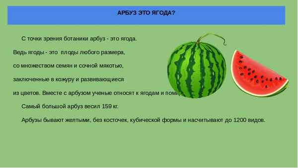 Почему с точки зрения ботаники арбуз — ягода, а дыня — нет