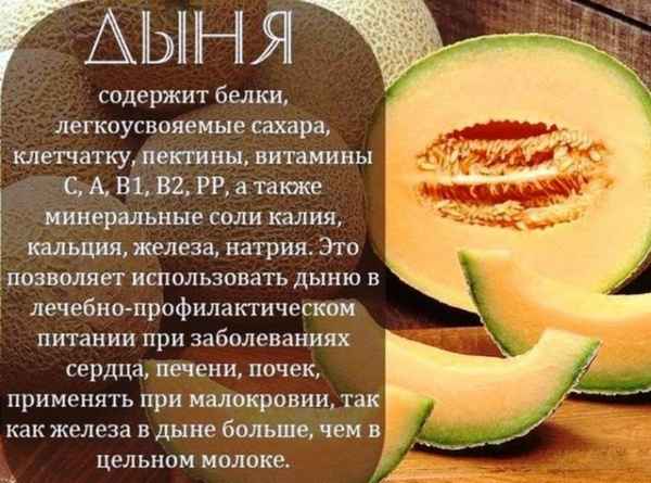 Чем полезна дыня для организма женщины