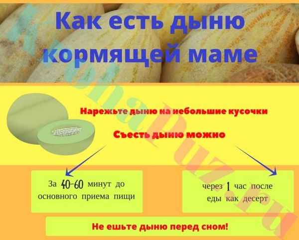 Можно ли кормящей маме дыню