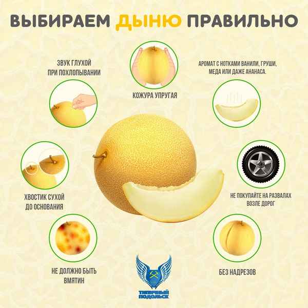 Можно ли есть дыню беременным?