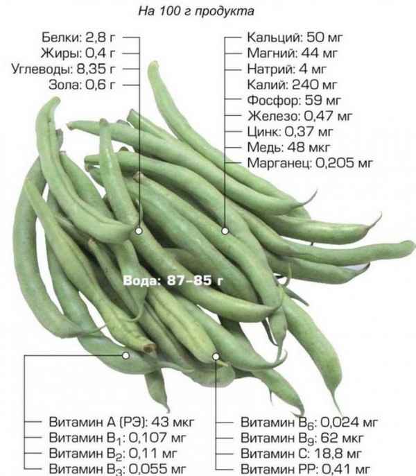 Стручковая фасоль: польза и вред, состав и калорийность