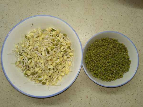 Как проращивать маш в домашних условиях