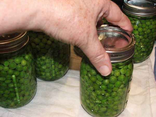 Как в домашних условиях правильно засолить горох