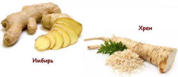 Правда ли, что имбирь — это корень хрена?