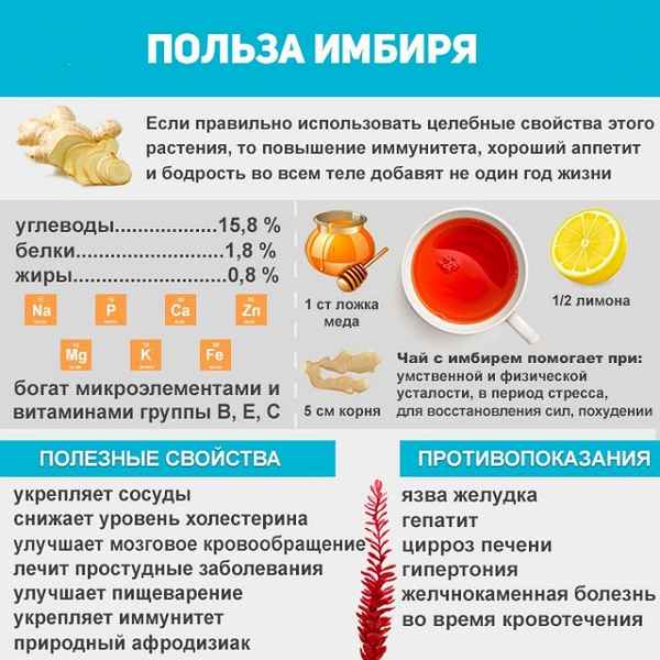 Польза имбиря для тела