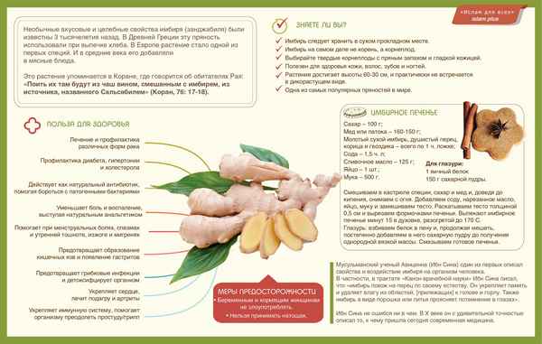 Имбирь бодрит или успокаивает: правильное употрeбление