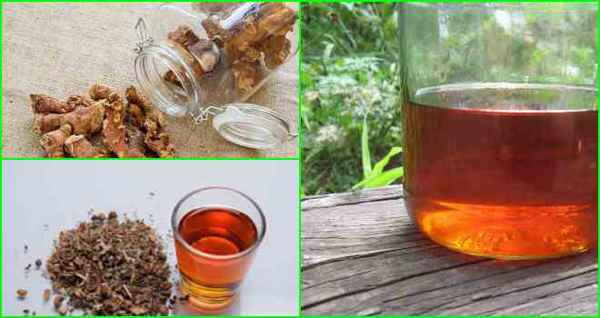 Настойка из калгана и имбиря: как сделать на водке, самогоне