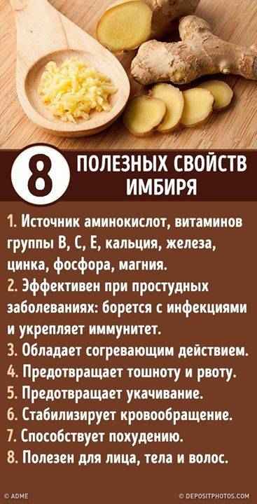 Польза и вред имбиря для организма женщины