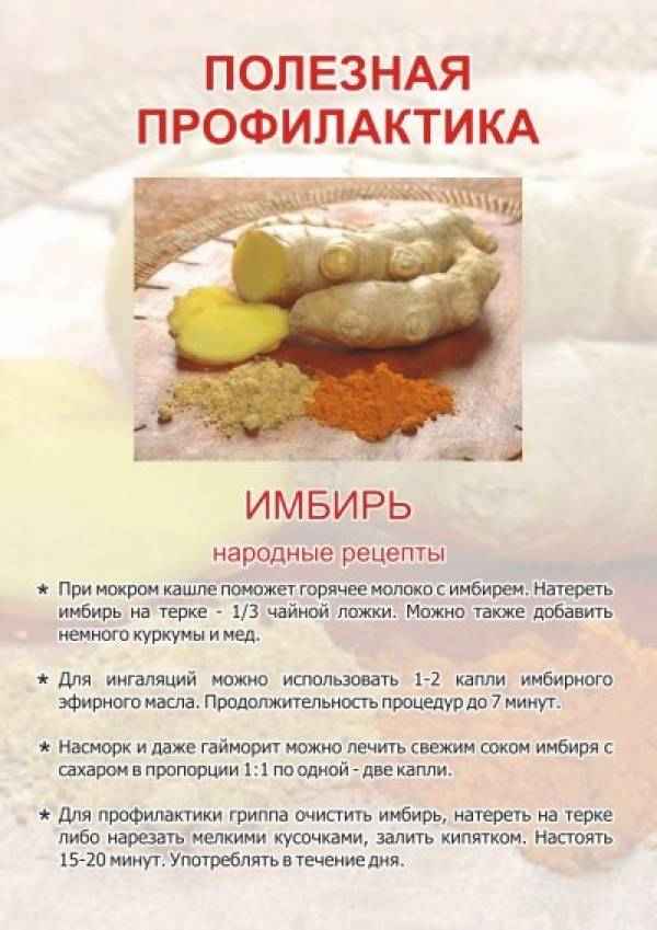 Помогает ли имбирь при кашле у взрослых и детей, особенности употрeбления