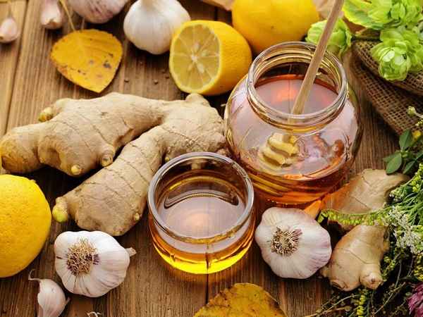 Имбирь, лимон и мёд: полезные и целебные свойства, противопоказания
