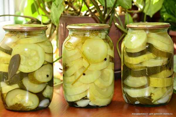 Как вкусно засолить кабачки на зиму