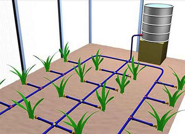Как правильно сделать автоматический капельный полив для теплицы