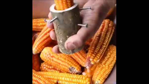 Как быстро и правильно чистить кукурузу в домашних условиях?
