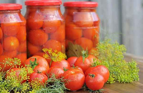 Какие сорта томатов для засолки стоит посеять? Сезон 2022