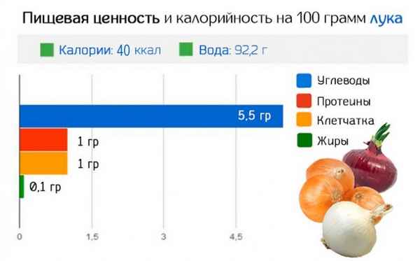 Калорийность репчатого лука в сыром виде на 100 грамм продукта