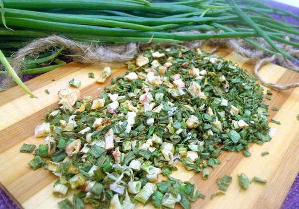 Как сушить зелёный лук на зиму?