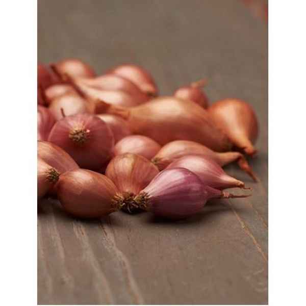 Особенности сорта лука Росанна