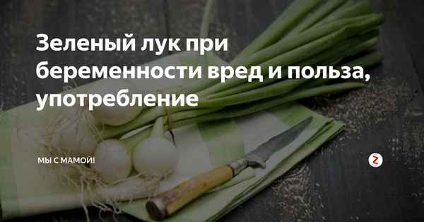 Польза и вред употрeбления лука во время беременности
