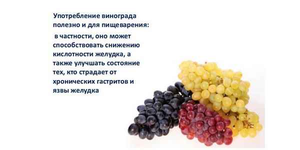 Полезен ли виноград при похудении?
