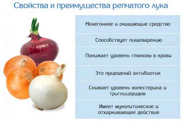 Состав и полезные свойства лукового сока