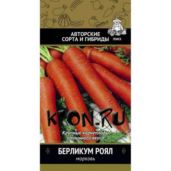 Особенности выращивания и ухода за морковью Берликум Роял